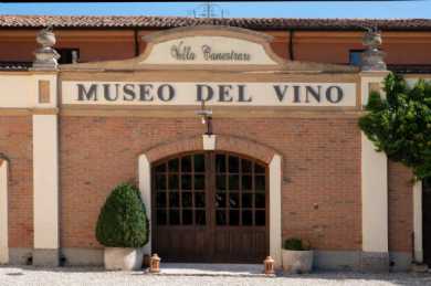 Foto Gallery Museo del Vino Villa Canestrari