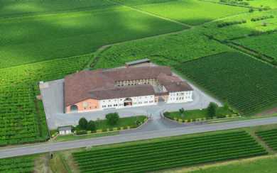 Foto Gallery Azienda Agricola Ca' Rugate